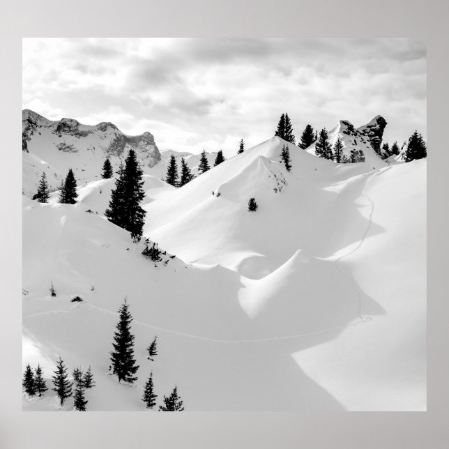 Affiche Paysage alpin : Snowy Fir Trees (Devant)