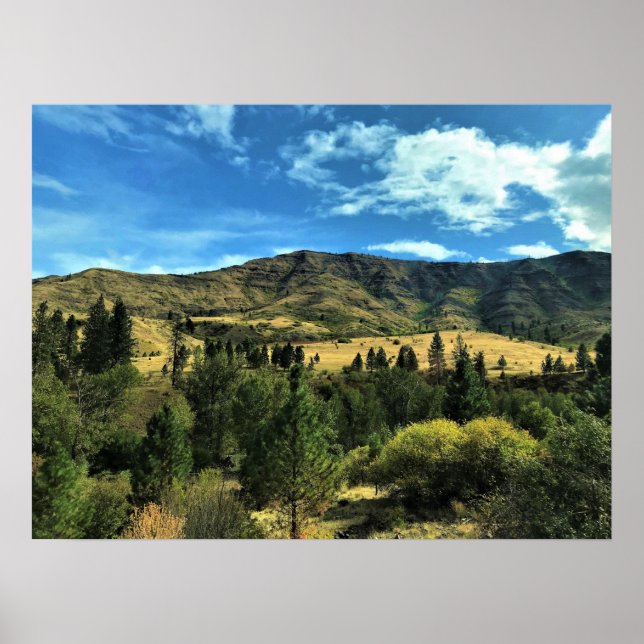 Affiche Paysage au bord de la rivière Snake, Oregon (Devant)