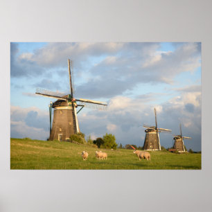 Affiche Paysage avec moulins à vent et moutons