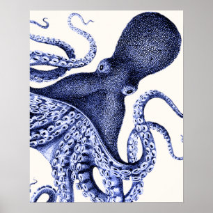 Affiche Paysage Bleu Octopus