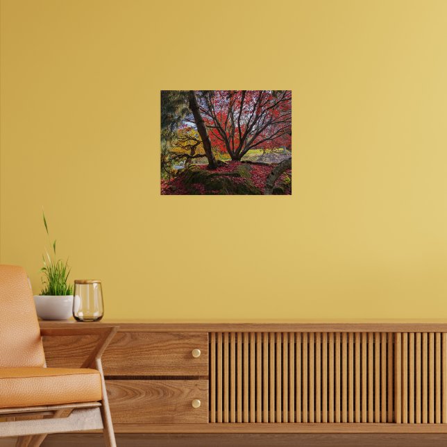 Affiche Paysage coloré de feuilles et d'arbres d'automne (Salon 2)