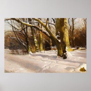 Affiche Paysage d'arbre ensoleillé hivernal de ferme rusti