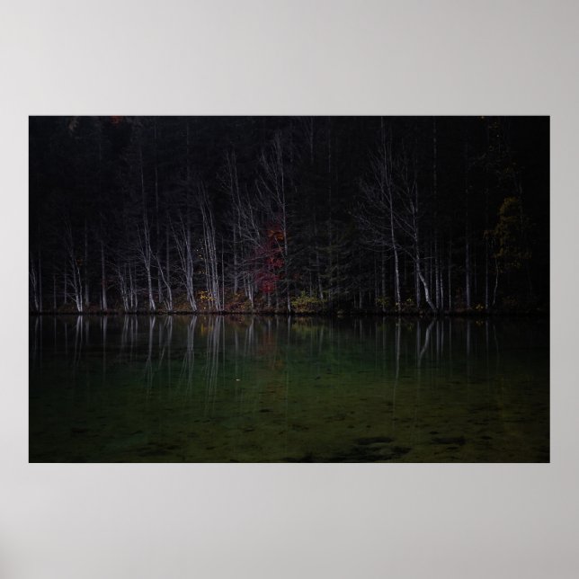 Affiche Paysage d'arbres au lac (Devant)
