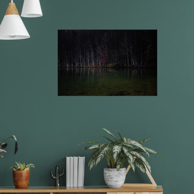 Affiche Paysage d'arbres au lac (Salon 1)
