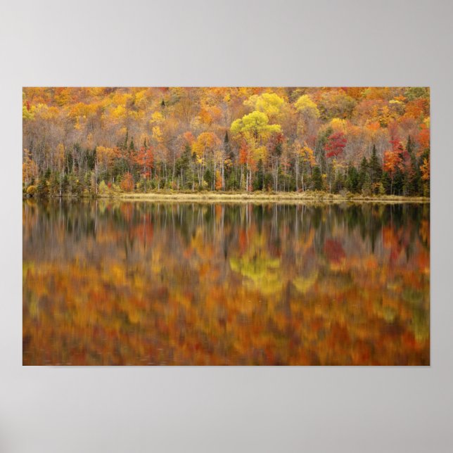 Affiche paysage d'automne avec lac, Vermont, États-Unis (Devant)