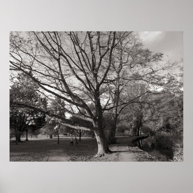 Affiche Paysage d'automne Bute Park Cardiff (Devant)