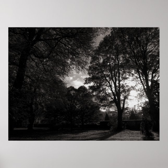Affiche Paysage d'automne Bute Park Cardiff (Devant)