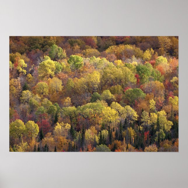 Affiche Paysage d'automne, Vermont, États-Unis 2 (Devant)