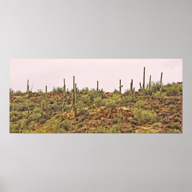 Affiche Paysage de cactus de l'Arizona (Devant)