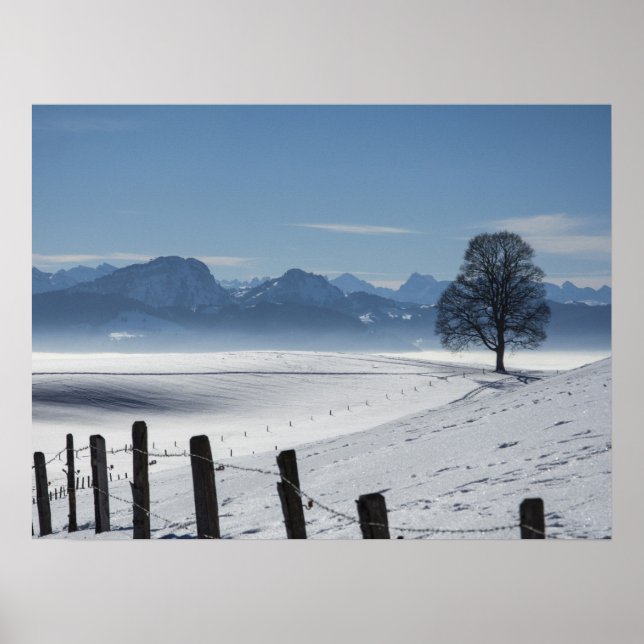 Affiche Paysage de campagne hivernale neige Photo (Devant)