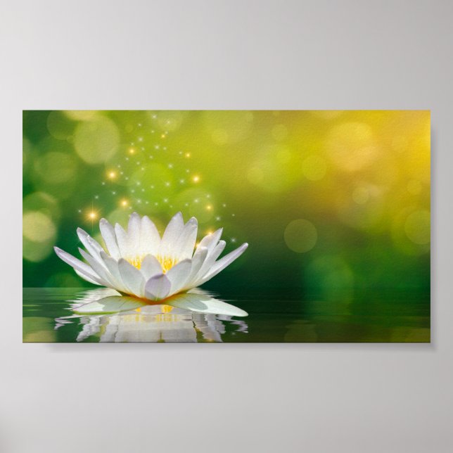 Affiche Paysage de fleur de lotus blanc, Zen (Devant)
