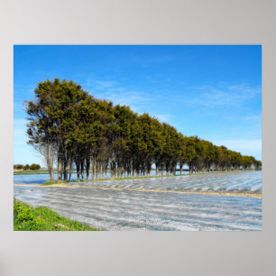 Affiche Paysage de Jersey au printemps