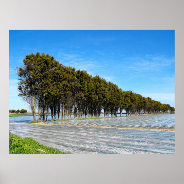 Affiche Paysage de Jersey au printemps (Devant)