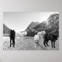 Paysage de la rivière White Black Wolf