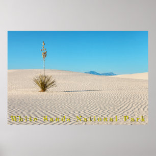 Affiche Paysage de sables blancs du désert et Yucca 
