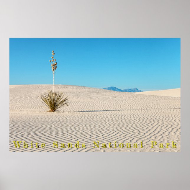 Affiche Paysage de sables blancs du désert et Yucca  (Devant)