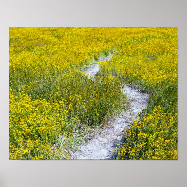 Affiche Paysage de terrain Fleur sauvage jaune (Devant)