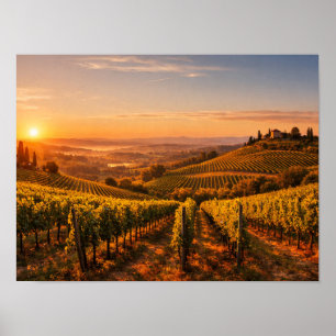 Affiche Paysage de vignoble toscan au coucher du soleil