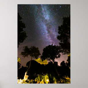 Affiche Paysage des arbres à voie laiteuse