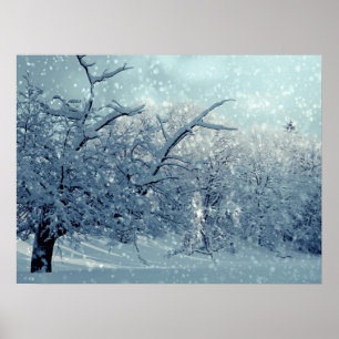 Affiche Paysage des arbres d'hiver