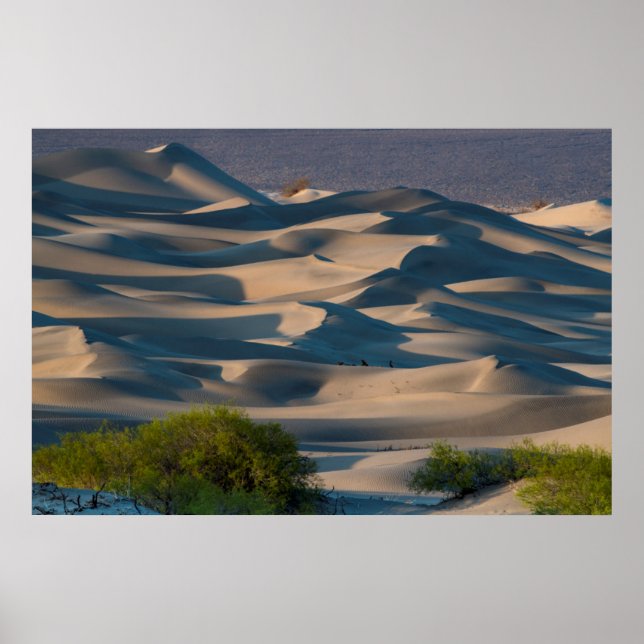 Affiche Paysage des dunes de sable, Californie (Devant)