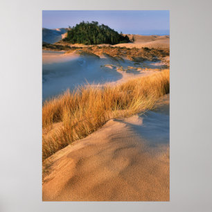 Affiche Paysage des dunes de sable de l'Oregon