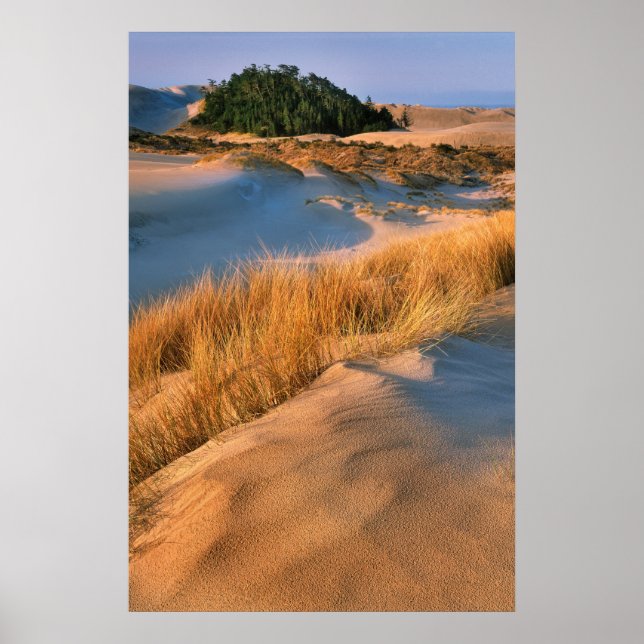 Affiche Paysage des dunes de sable de l'Oregon (Devant)
