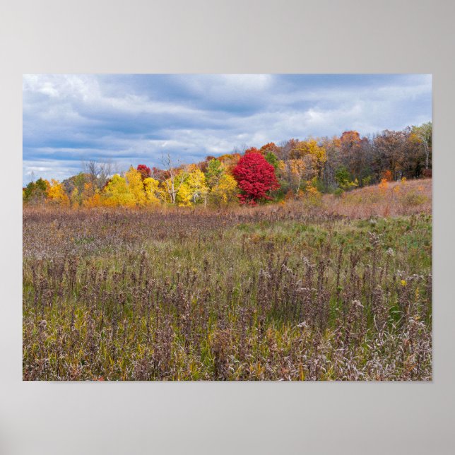 Affiche paysage des prairies en automne au parc d'état aft (Devant)