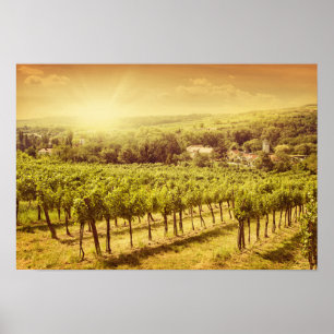 Affiche Paysage des vignobles