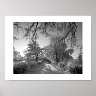 Affiche Paysage d'hiver : Cheshire