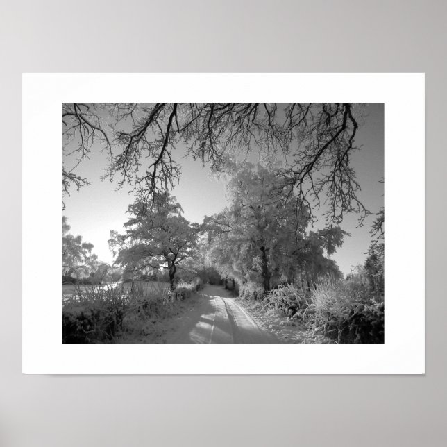 Affiche Paysage d'hiver : Cheshire (Devant)