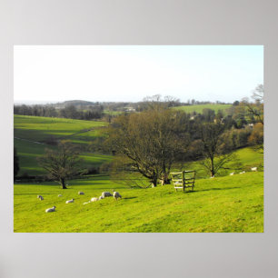 Affiche Paysage d'hiver près de cardon à Somerset