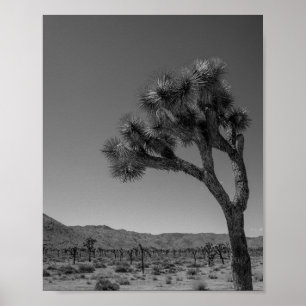 Affiche Paysage du désert de Joshua Tree - Photo du parc n
