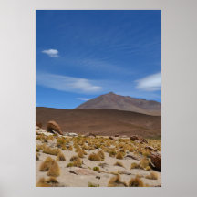 Paysage du désert de l'Altiplano bolivien