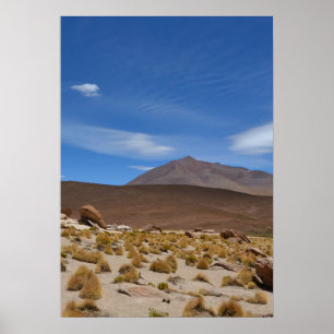Affiche Paysage du désert de l'Altiplano bolivien