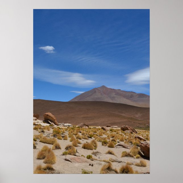 Affiche Paysage du désert de l'Altiplano bolivien (Devant)