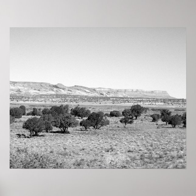 Affiche Paysage du désert de l'Utah noir et blanc 16x20 (Devant)