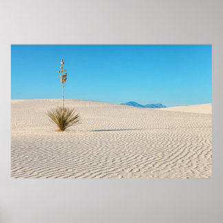 Affiche Paysage du désert de White Sands et plante de yucc