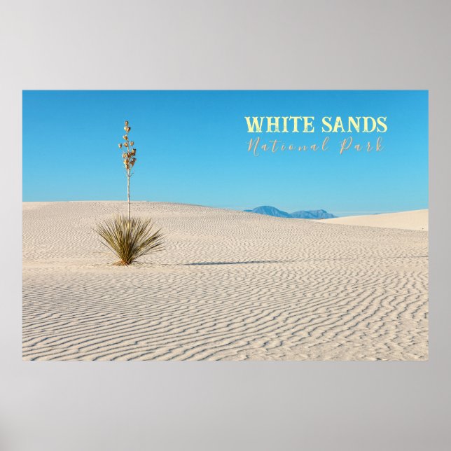 Affiche Paysage du parc national de White Sands avec Yucca (Devant)