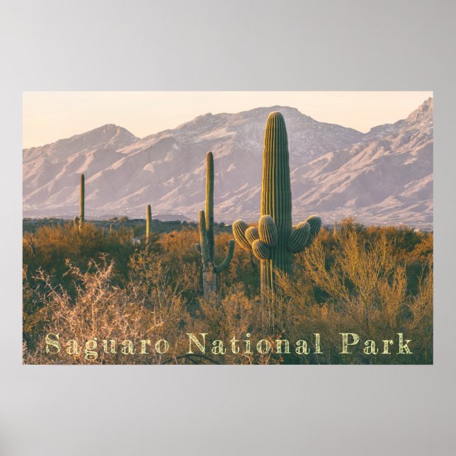 Affiche Paysage du Saguaro (Devant)
