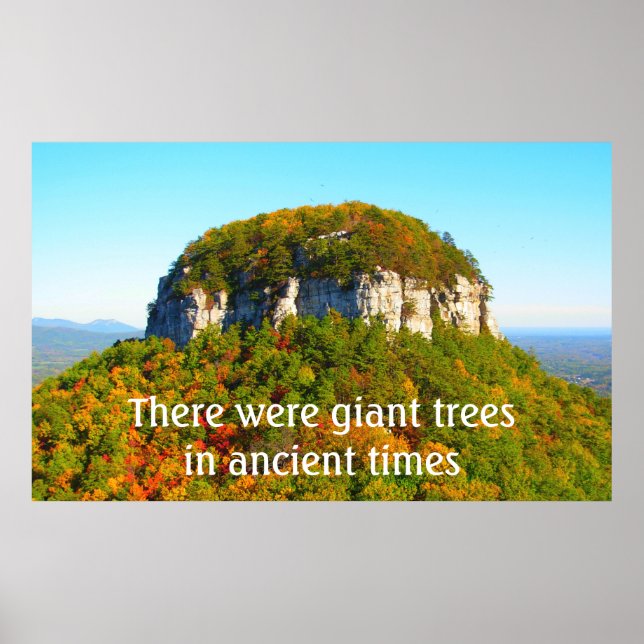 Affiche Paysage et arbres du mont Pilot (Devant)