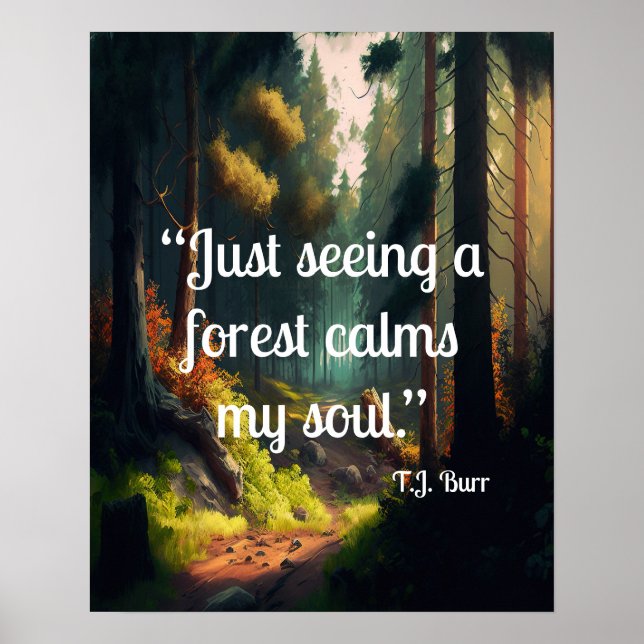 Affiche Paysage forestier (Devant)