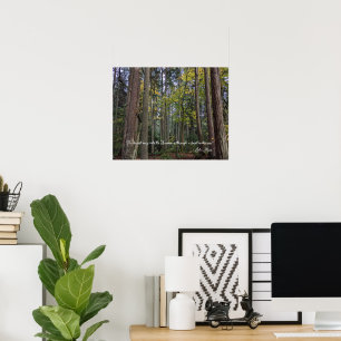 Affiche Paysage forestier avec citation de John Muir