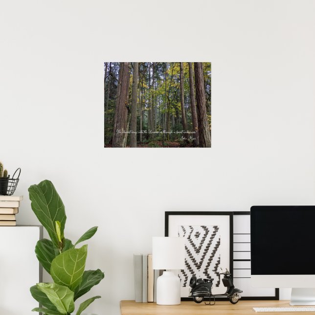 Affiche Paysage forestier avec citation de John Muir (Bureau à domicile)