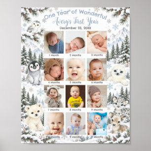 Affiche Paysage hivernal arctique Animaux Première année P