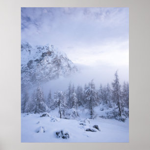 Affiche Paysage hivernal, brouillard, forêt d'épicéas et m