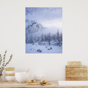 Affiche Paysage hivernal, brouillard, forêt d'épicéas et m