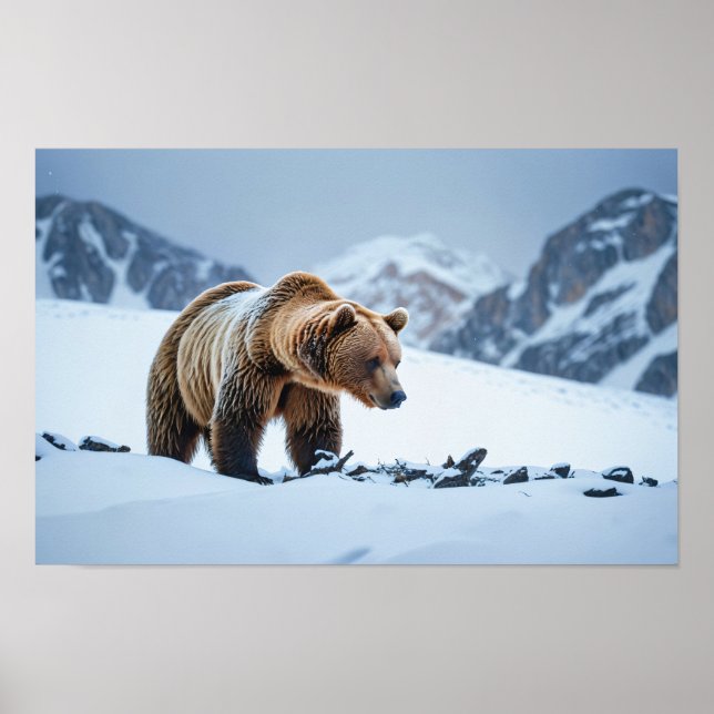Affiche Paysage hivernal de l'ours Brown (Devant)