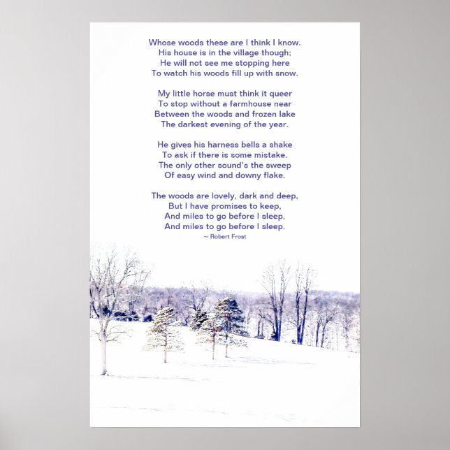 Affiche Paysage hivernal enneigé (Devant)