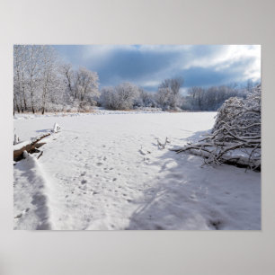 Affiche paysage hivernal le long de l'étang et des forêts